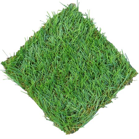 Kunstgræs i god kvalitet | Kan fås i forskellige farver